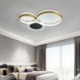 Fixture for LED Flush Mount Gold Ring Ceiling Light