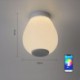 Remote Control Bluetooth Music Speaker Light Bedroom Bar RGB LED Flush Mount Ceiling Light