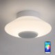 Remote Control Bluetooth Music Speaker Light Bedroom Bar RGB LED Flush Mount Ceiling Light