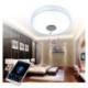 Remote APP Control Bluetooth Music Speaker Lamp 36W RGB LED Flush Mount Ceiling Light Decorative Lamp