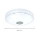 Remote APP Control Bluetooth Music Speaker Lamp 36W RGB LED Flush Mount Ceiling Light Decorative Lamp