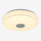 Remote APP Control Bluetooth Music Speaker Lamp 36W RGB LED Flush Mount Ceiling Light Decorative Lamp