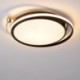 Bedroom Living Room Circular Acrylic LED Flush Mount Ceiling Light