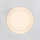 Living Room Bedroom LED Flush Mount Circular Ceiling Light