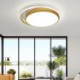 Bedroom Living Room Golden Circular LED Flush Mount Modern Acrylic Ceiling Light