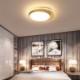 Bedroom Living Room Golden Circular LED Flush Mount Modern Acrylic Ceiling Light