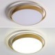 Bedroom Living Room Golden Circular LED Flush Mount Modern Acrylic Ceiling Light