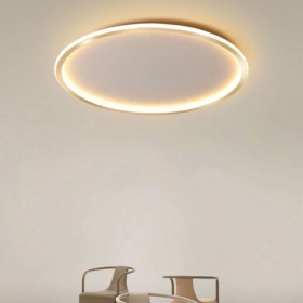 LED Minimalist Circular Ceiling Light Living Room Hallway Flush Mount