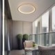 LED Minimalist Circular Ceiling Light Living Room Hallway Flush Mount