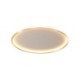 LED Minimalist Circular Ceiling Light Living Room Hallway Flush Mount