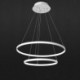 Aluminum Double Ring Hanging Light Living Room Modern Simple LED Pendant Light