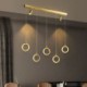 Acrylic Ring Light Fixture with LED Pendant Light