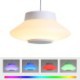 RGB LED Pendant Light Remote APP Control Bluetooth Music Speaker Light Bedroom Bar