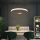 Minimalist Acrylic Light Fixture Living Room Study Room LED Ring Pendant Lamp