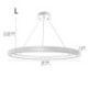 Minimalist Acrylic Light Fixture Living Room Study Room LED Ring Pendant Lamp