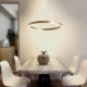 40cm/60cm LED Pendant Light Drawing Craft Round Lamp