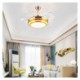 ABS Fan Blade Acrylic LED Bedroom Restaurant Lighting Modern Ceiling Fan Lamp