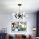 Restaurant Living Room Bedroom Lamp Nordic LED Pendant Light Creative Round Chandelier