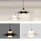 Nordic Aluminum Pendant Light Modern Minimalist Dining Room Ceiling Lighting