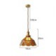 Style Glass Ceiling Light Bedroom Living Room Retro Glass Pendant Light