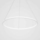 60cm/80cm Modern LED Pendant Light Circle Lamp