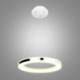 Acrylic Ceiling Light LED Pendant Light 40cm Ring Lamp (Angel's Halo)