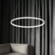 80cm Modern LED Pendant Light Black Circle Lamp