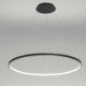 80cm Modern LED Pendant Light Black Circle Lamp