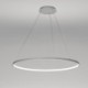 80cm Modern LED Pendant Light Black Circle Lamp