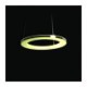 30cm Modern LED Pendant Light Circle RGB Lamp