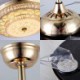 Exquisite Grain Pattern Decoration Light with Remote Control Modern Ceiling Fan Light Mute Fan Light