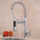 Chrome Single Commercial Kitchen Sink Faucet Mixer Tap with Pull Down Spray