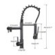 Stainless Steel Spring Dual Spout Tap Black Kitchen Faucet