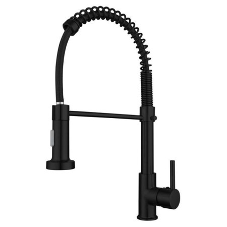 Brass Spring Kitchen Faucet in Black