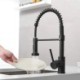 Brass Spring Kitchen Faucet in Black