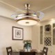 Exquisite Acrylic Leaf Decoration Light with Remote Control Modern Ceiling Fan Light Mute Fan Light