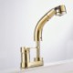 Luxurious Pull-out Tap with Liftable Golden Faucet