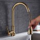 Swivel Spout Kitchen Tap Modern Gold Pullout Kitchen Faucet