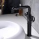 Brass Dual Handles Countertop Faucet in Black Industrial Style