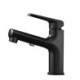 Cold & Hot Basin Faucet Pull Out Bathroom Basin Sink Faucet Mixer Tap