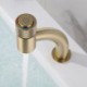 Push Button Bathroom Basin Faucet in Black/Brushed Gold Color