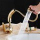 Liftable Basin Faucet Pull-out Sink Tap in Gold