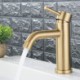 Stainless Steel Bathroom Sink Tap with Brushed Gold Basin Faucet