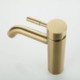 Stainless Steel Bathroom Sink Tap with Brushed Gold Basin Faucet