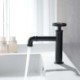 Industrial Style Cold Water Faucet Black Single Lever Tap Basin Faucet