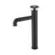 Industrial Style Deck Mount Countertop Tap in Black Brass