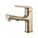 Cold & Hot Basin Faucet Pull Out Bathroom Basin Sink Faucet Mixer Tap