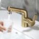 Pull-Out Basin Mixer Tap Rinser Spray Gargle Brushing Faucet with 2 Modes