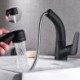 Pull Down Bathroom Sink Faucet in Matte Black