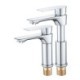 Liftable Chrome Basin Faucet Bathroom Sink Tap